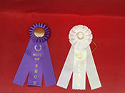 Two large ribbons