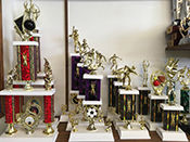 A large collection of trophies